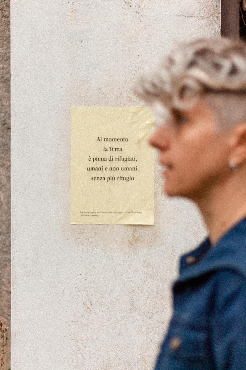 Photo by Antônio Frederico Lasalvia